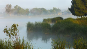 Pond or river with steam rising
