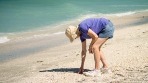 woman picking up shells on the beach