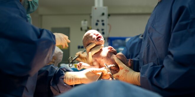 baby just born