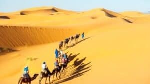 caravan of camels and people in the desert