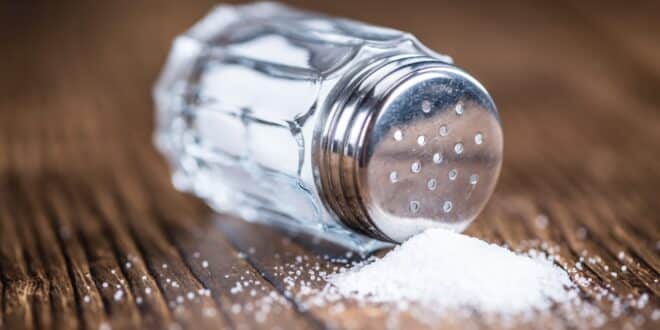 salt shaker and salt